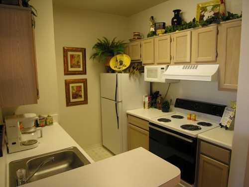 Champion Lake Apartments Side View Into Cute Modern Kitchen